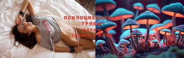 прущая мука Вяземский